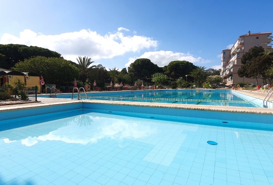 Reventa - Lokal - Guardamar del Segura