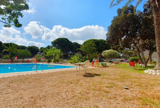 Reventa - Lokal - Guardamar del Segura