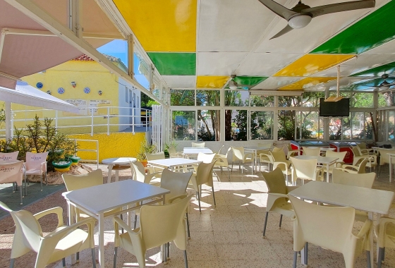 Reventa - Lokal - Guardamar del Segura