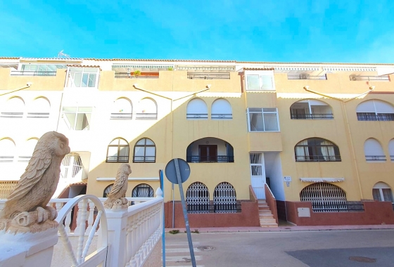 Rynek wtórny - Penthouse - Torrevieja - La Mata