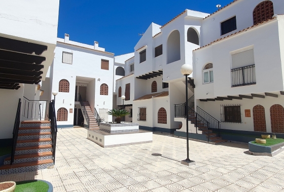 Rynek wtórny - Apartament - Torrevieja
