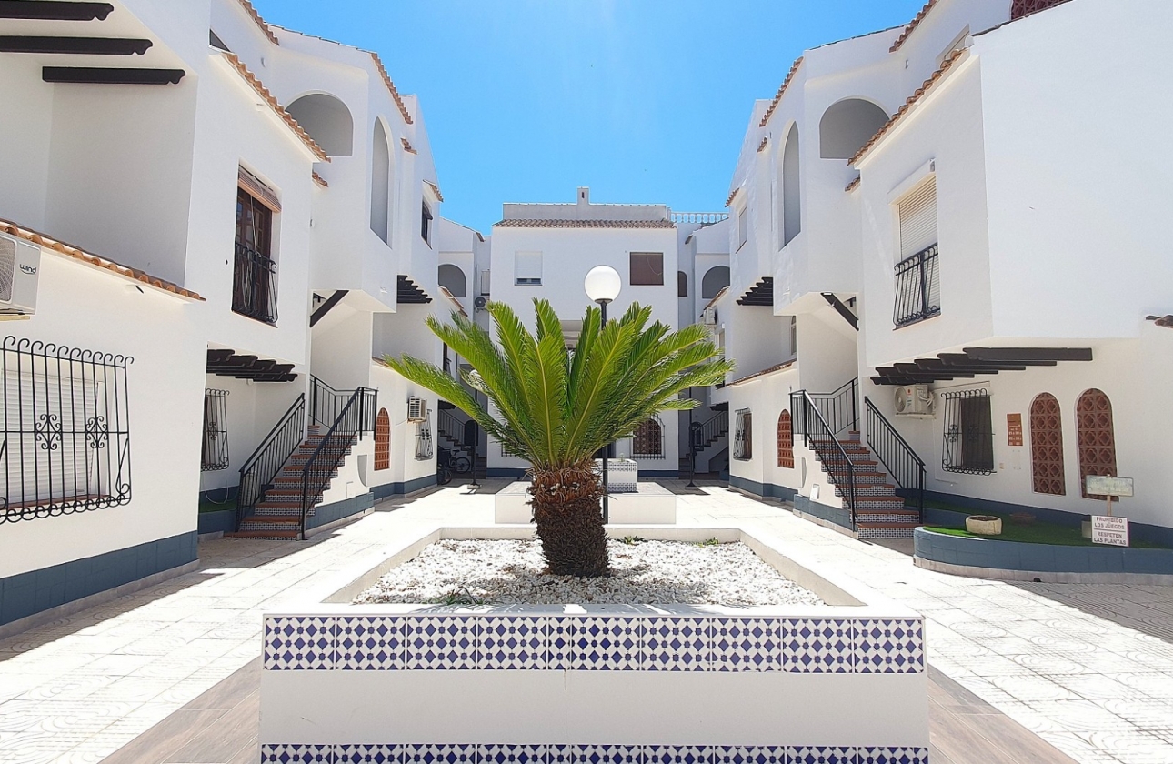 Rynek wtórny - Apartament - Torrevieja