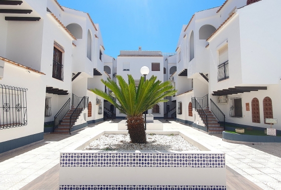 Rynek wtórny - Apartament - Torrevieja