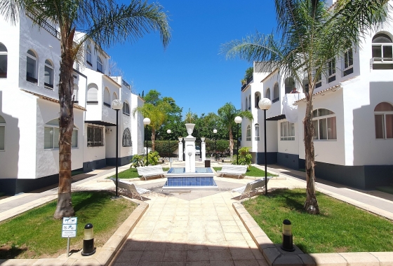 Rynek wtórny - Apartament - Torrevieja