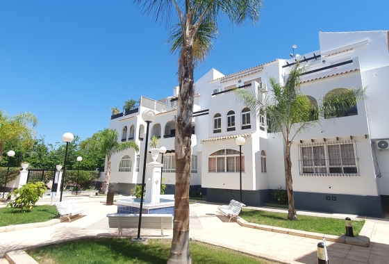 Rynek wtórny - Apartament - Torrevieja
