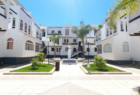 Rynek wtórny - Apartament - Torrevieja