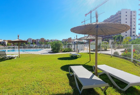 Reventa - Apartment - Torrevieja - Punta Prima