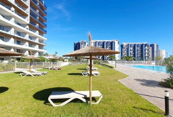 Reventa - Apartment - Torrevieja - Punta Prima