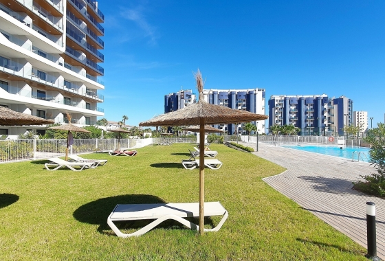 Reventa - Apartment - Torrevieja - Punta Prima