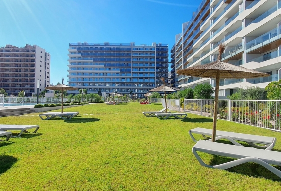 Reventa - Apartment - Torrevieja - Punta Prima