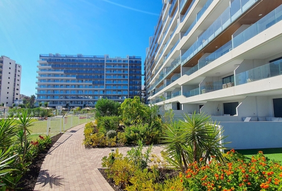 Reventa - Apartment - Torrevieja - Punta Prima