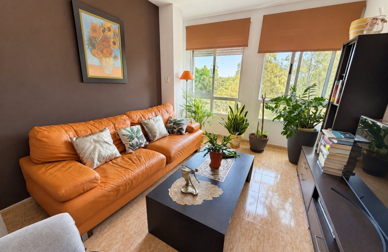 Resale - Apartment - Pilar de la Horadada - Pilar de La Horadada - Town