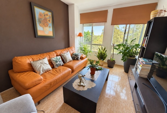 Resale - Apartment - Pilar de la Horadada - Pilar de La Horadada - Town