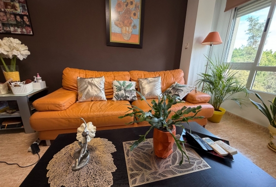 Resale - Apartment - Pilar de la Horadada - Pilar de La Horadada - Town