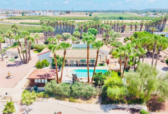 Resale - Villa - Daya Nueva - Daya Vieja