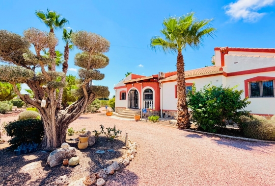 Resale - Villa - Daya Nueva - Daya Vieja
