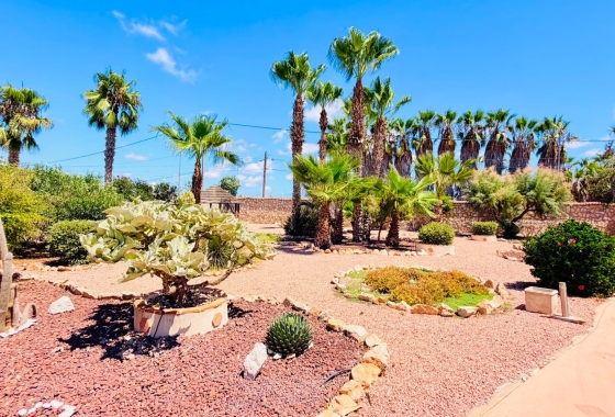 Resale - Villa - Daya Nueva - Daya Vieja