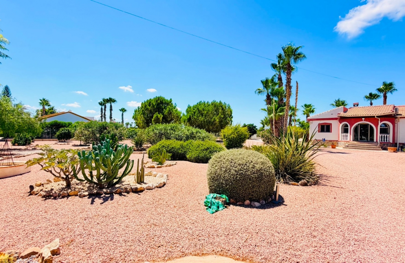 Resale - Villa - Daya Nueva - Daya Vieja