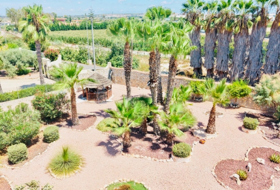 Resale - Villa - Daya Nueva - Daya Vieja