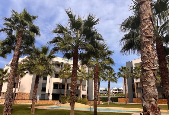 Reventa - Apartment - Torrevieja - Los Altos
