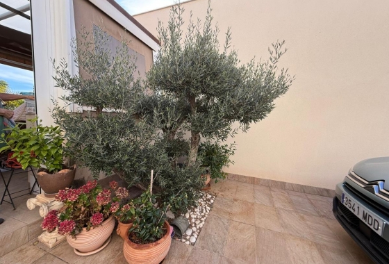 Resale - Villa - Los Montesinos