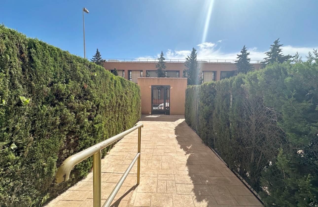Reventa - Apartment - Torrevieja