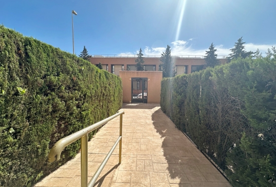 Reventa - Apartment - Torrevieja