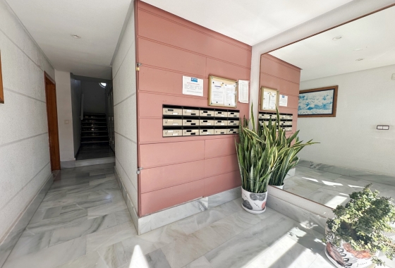 Reventa - Apartment - Torrevieja