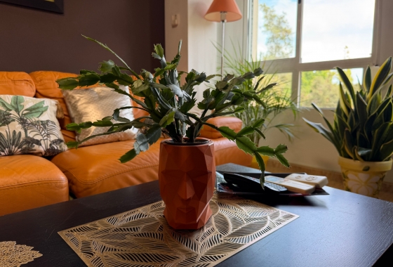 Resale - Apartment - Pilar de la Horadada