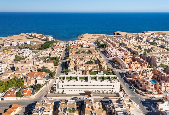 Rynek pierwotny - Apartament - Torrevieja