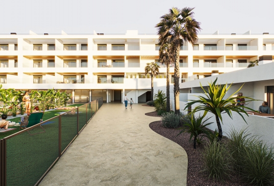 Obra nueva - Apartment - Torrevieja