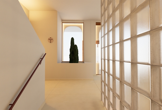 Obra nueva - Apartment - Torrevieja