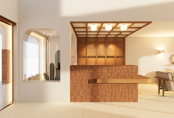 Obra nueva - Apartment - Torrevieja