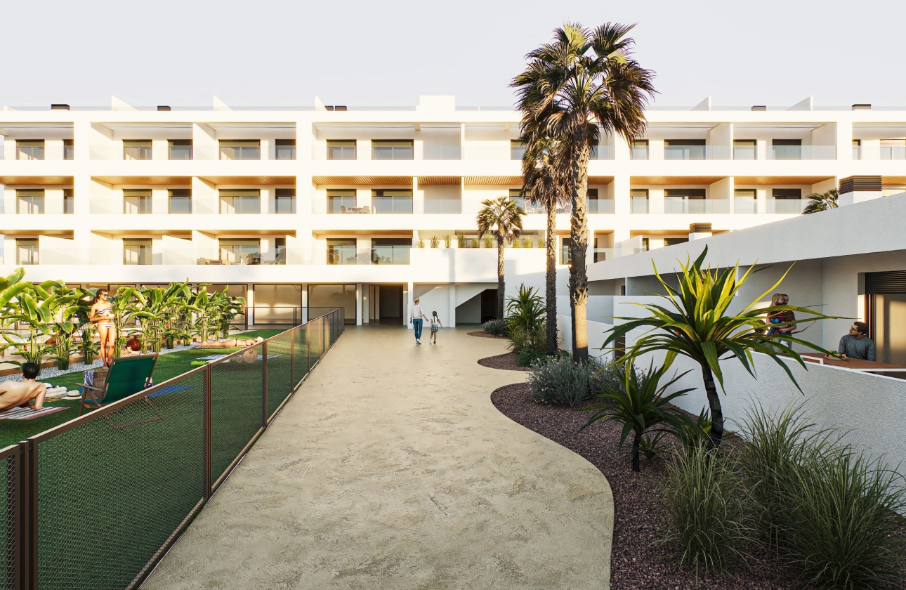 Obra nueva - Apartment - Torrevieja