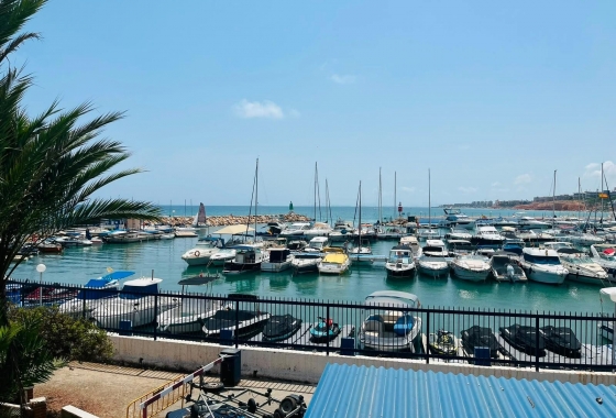 Reventa - Apartment - Orihuela Costa - Dehesa de campoamor