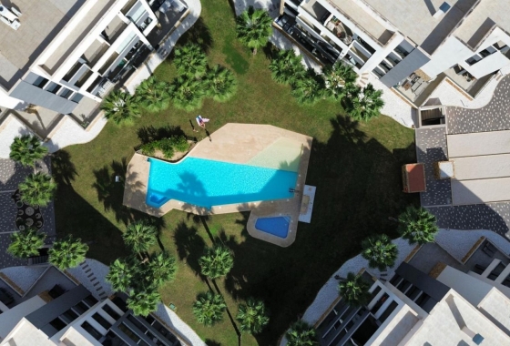 Reventa - Apartment - Torrevieja - Los Altos