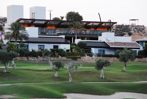 Obra nueva - Detached - Peraleja Golf