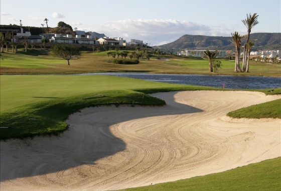 Obra nueva - Detached - Peraleja Golf